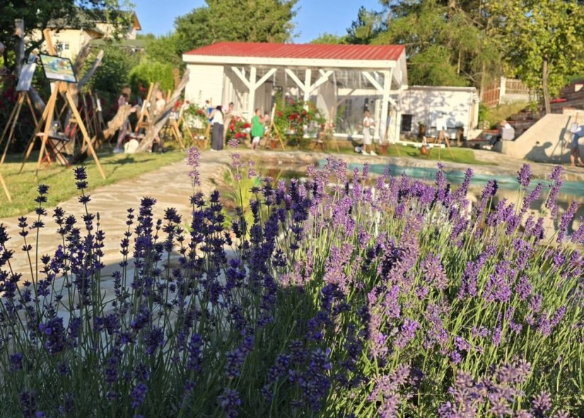 50801-Výtvarno-filmový festival "Osudy umenia", Vincent, Betliar