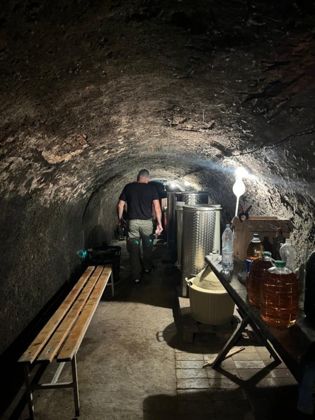 50531-Vin Festival Szikszó - Ungarn, 31.5.2025