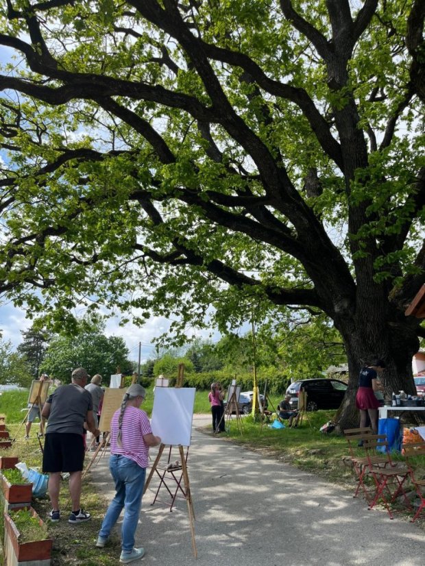 50503-Zážitkové maľovanie Dub v Drnave, 3.5.2025