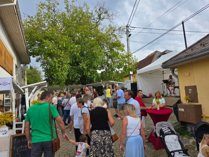 50830-3. Auflage des Festivals "Betliar lebt von gutem Wein", 30.8.2025