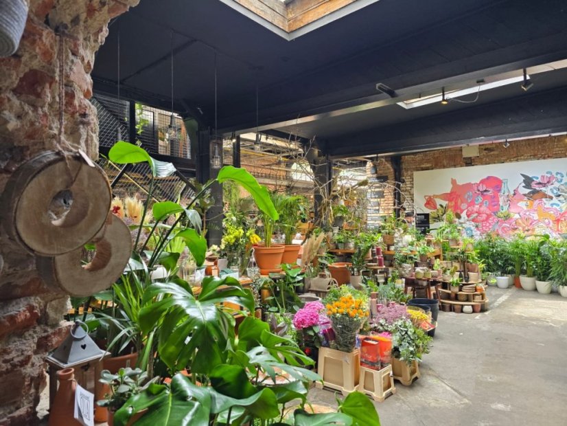 50601-Dox Holešovice, 1.6.2025, Praha