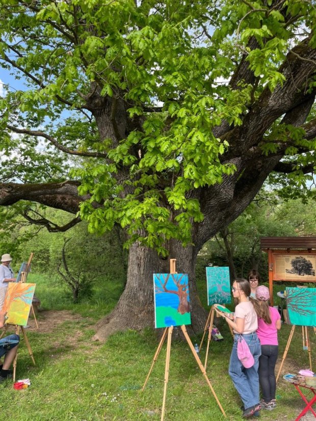 50503-Zážitkové maľovanie Dub v Drnave, 3.5.2025