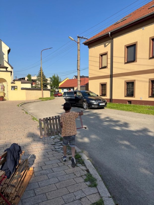 50615-Közönséges festés Szácson, 2025. június 15.