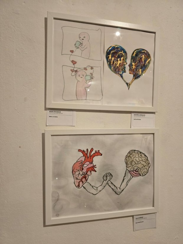 50212-Vernisáž k výberu z výstavy Milujem, teda som!, Praha, 12.2.25