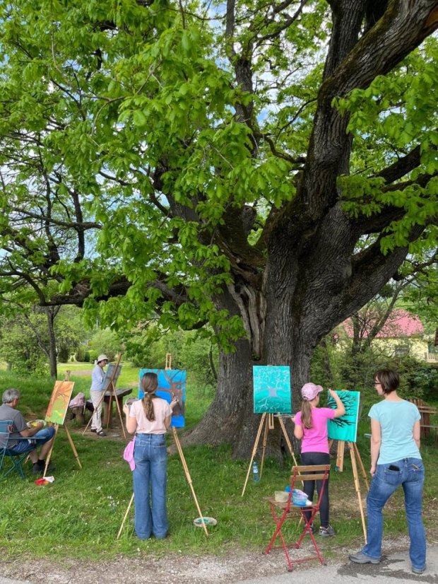 50503-Zážitkové maľovanie Dub v Drnave, 3.5.2025