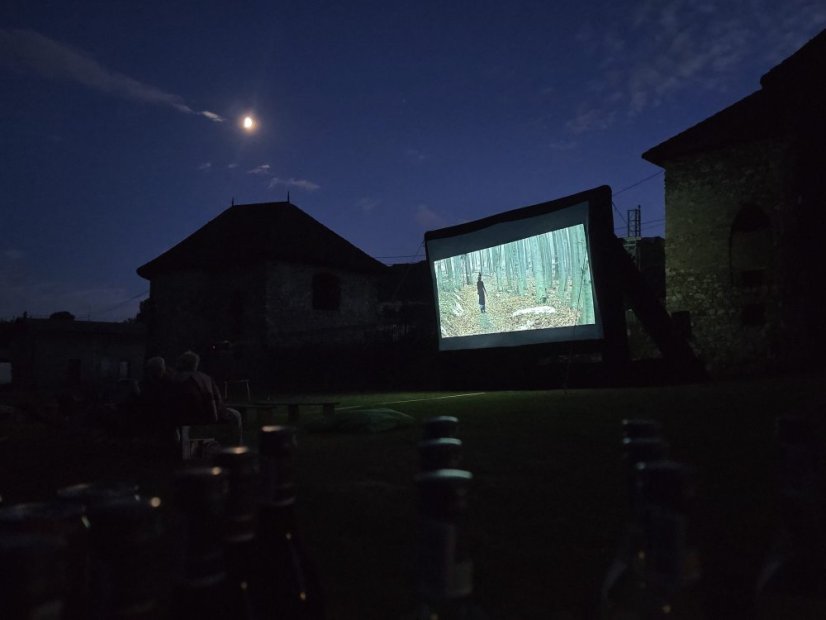 50704-Výtvarno-filmový festival "Osudy umenia", Egon Schiele, Štítnik