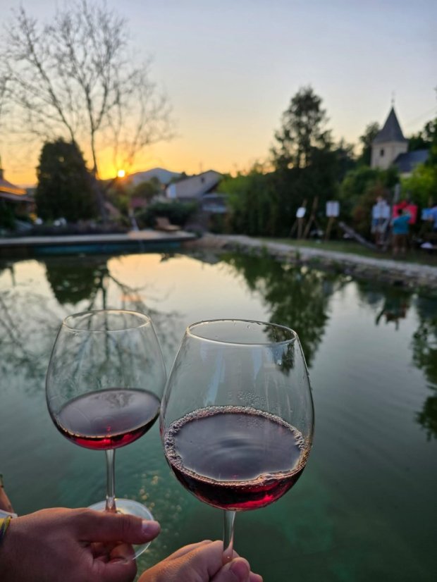 50801-Výtvarno-filmový festival "Osudy umenia", Vincent, Betliar