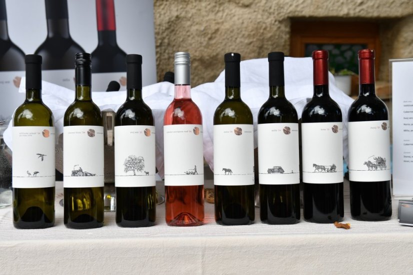 50830-3. Auflage des Festivals "Betliar lebt von gutem Wein", 30.8.2025