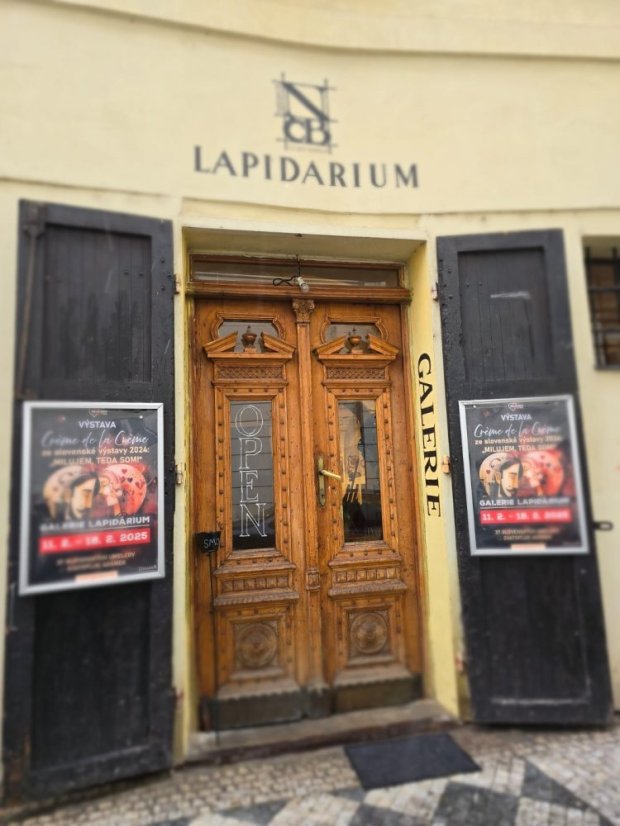 50212-Vernisáž k výberu z výstavy Milujem, teda som!, Praha, 12.2.25