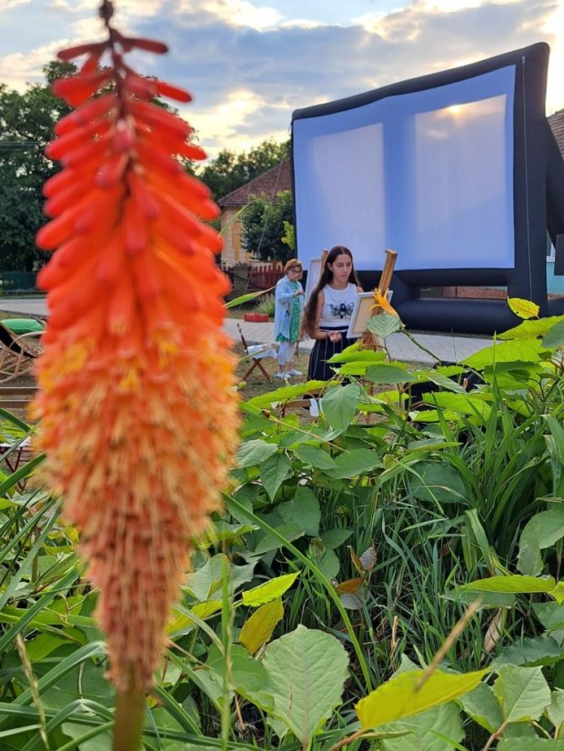 50720 - Művészeti-filmes fesztivál "A művészet sorsa", Caravaggio, KRH