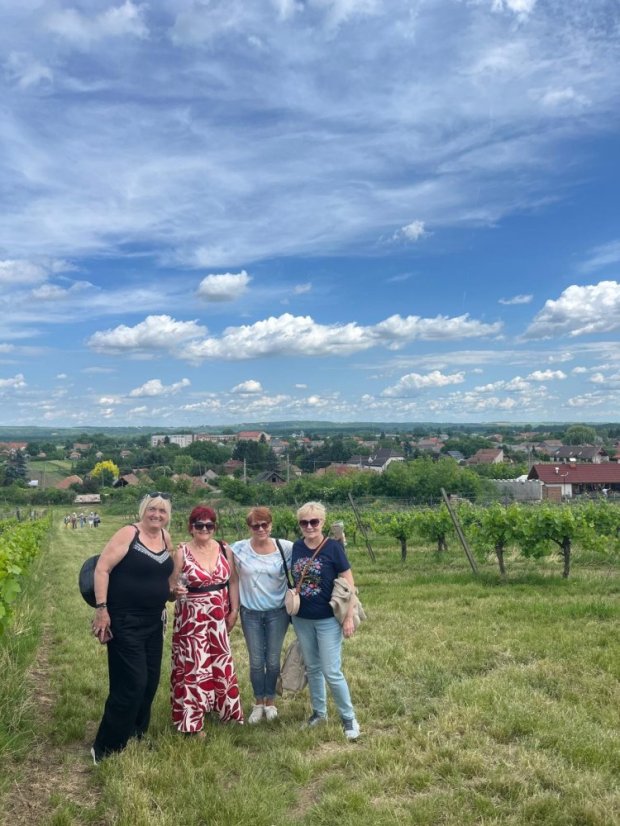 50531-Vin Festival Szikszó - Ungarn, 31.5.2025