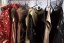 51213-Výnimočná fashion show na Gemerských vianočných trhoch - Štítnik
