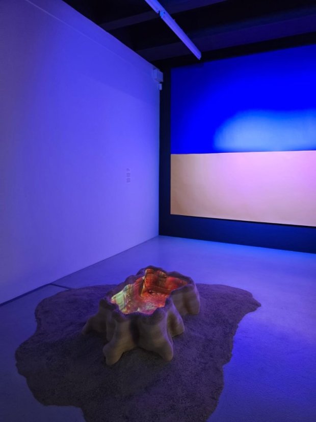 50601-Dox Holešovice, 1.6.2025, Praha