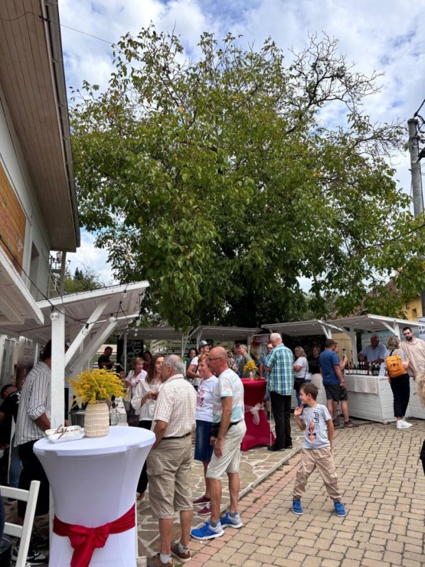 50830-3. Auflage des Festivals "Betliar lebt von gutem Wein", 30.8.2025