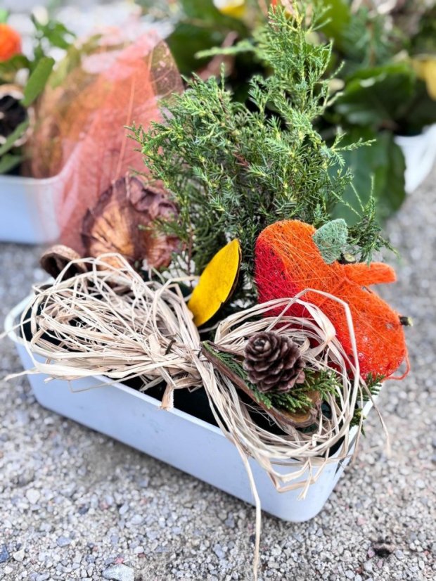 50903-Workshop jesenné aranžovanie, Predná Hora, 3.9.25