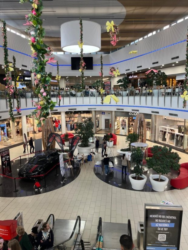 50405-Malarstwo doświadczalne "Gdzie mieszka moda", Koszyce, 5.4.2025