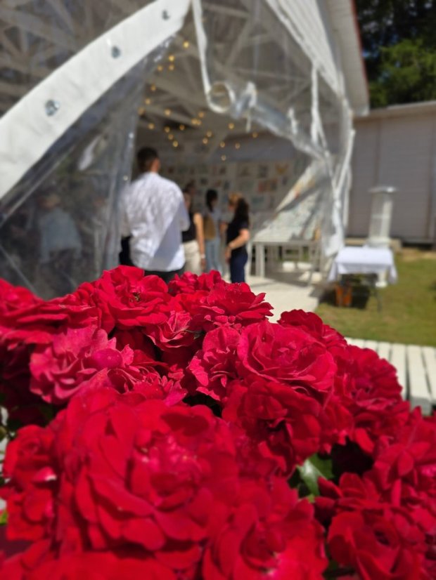 50711-Vernissage - 1. Runde Zeichnungen, Malerei und Design, 11.7.2025