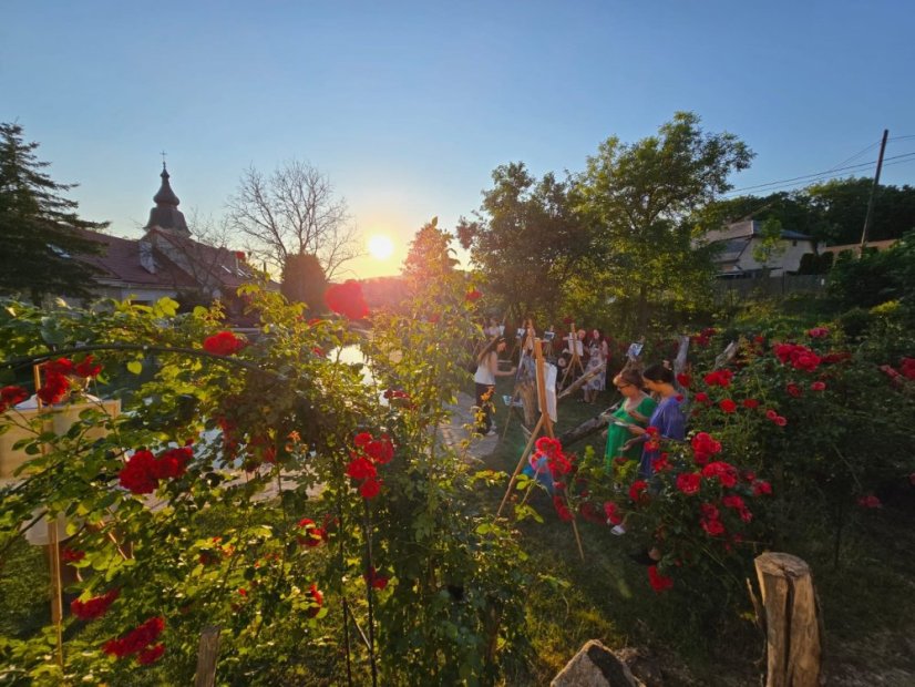 50801-Výtvarno-filmový festival "Osudy umenia", Vincent, Betliar