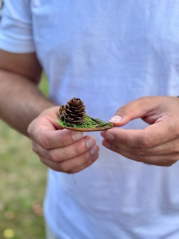 50903-Workshop jesenné aranžovanie, Predná Hora, 3.9.25