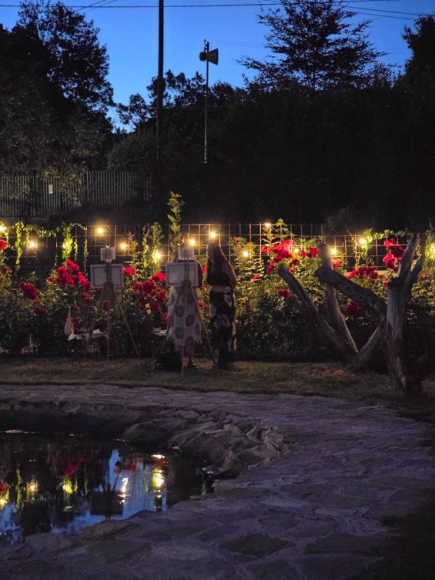 50801-Výtvarno-filmový festival "Osudy umenia", Vincent, Betliar