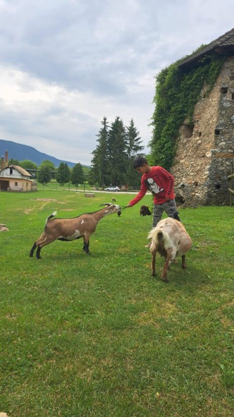 50617-Középiskola Rožňava a Hrade-ban, 17.6.25