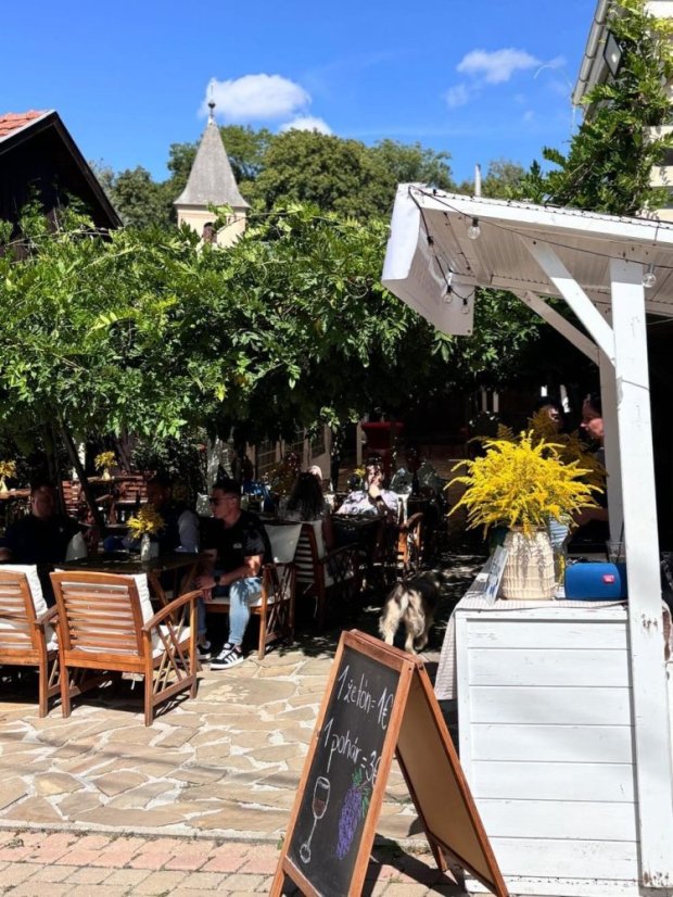 50830-3. Auflage des Festivals "Betliar lebt von gutem Wein", 30.8.2025