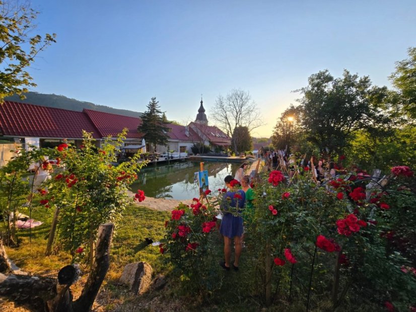 50801-Výtvarno-filmový festival "Osudy umenia", Vincent, Betliar