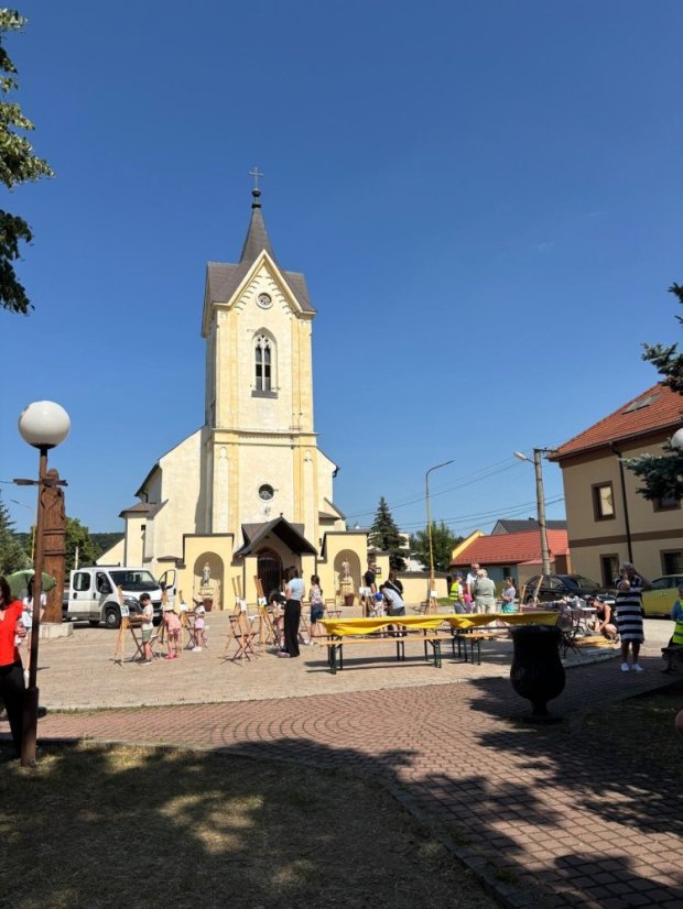 50615-Közönséges festés Szácson, 2025. június 15.