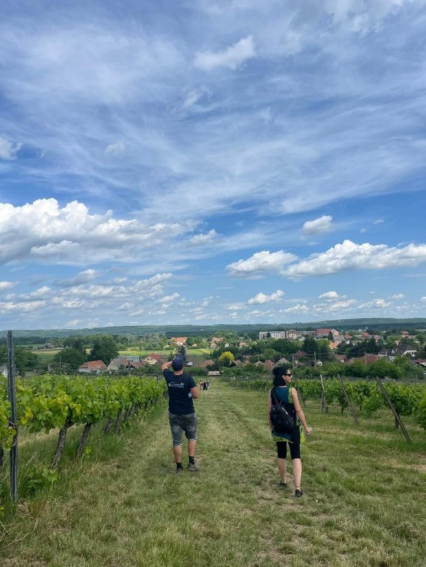 50531-Vin Festival Szikszó - Ungarn, 31.5.2025