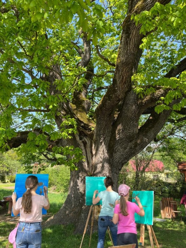 50503-Zážitkové maľovanie Dub v Drnave, 3.5.2025