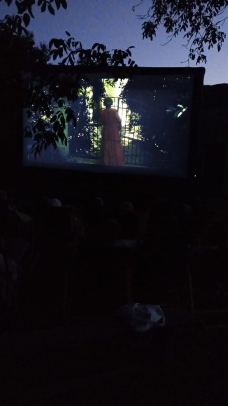 50723-Výtvarno-filmový festival "Osudy umenia" Renoir,Rakovnica, 23.7.