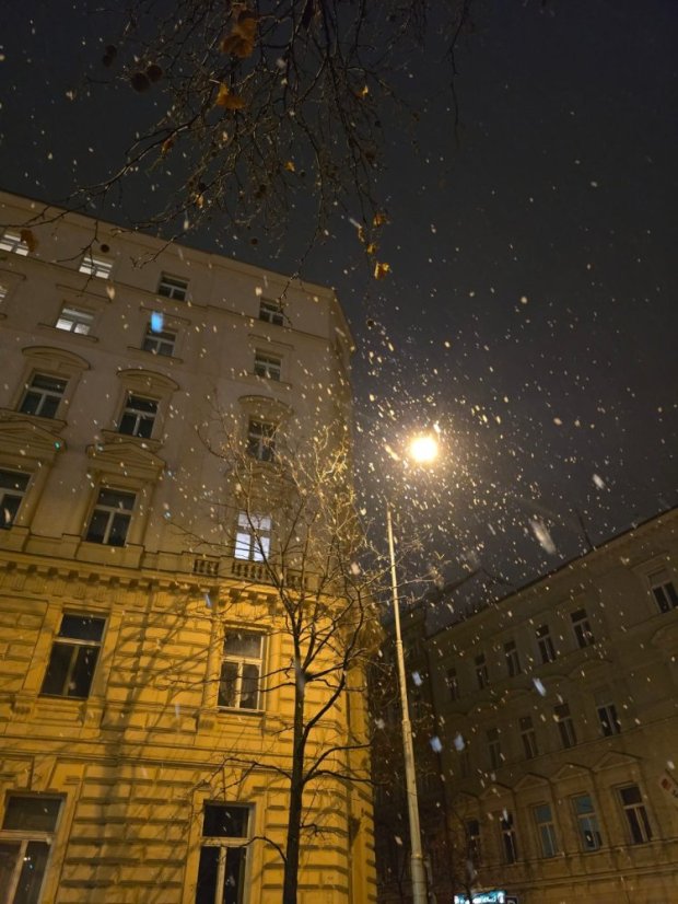 50212-Vernisáž k výberu z výstavy Milujem, teda som!, Praha, 12.2.25