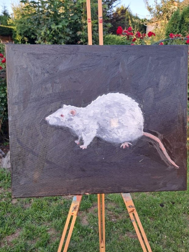 50719-Vernisáž kurzu dospelých s degustáciou vín, 19.7.2025