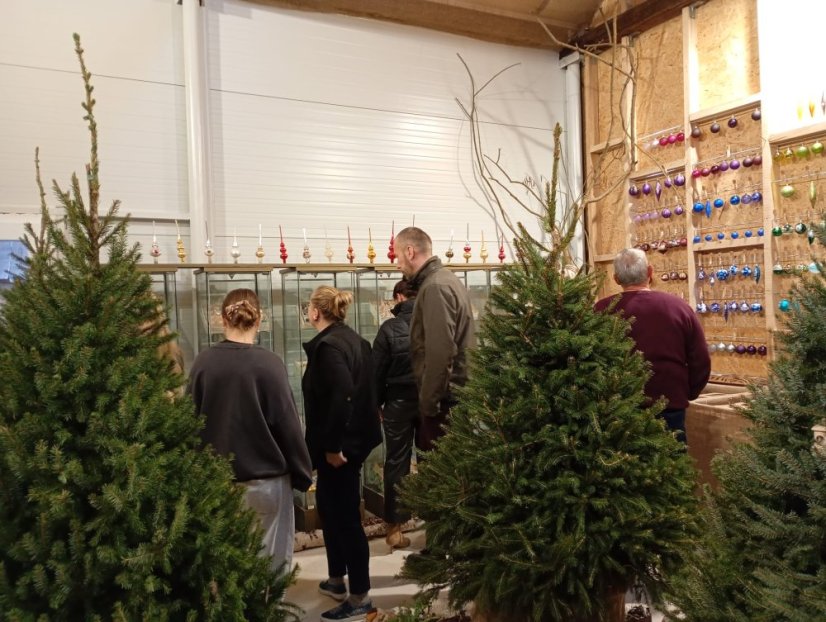 51108-WORKSHOP FÚKANIA, STRIEBRENIA ÉS MAĽOVANIA KARÁCSONYI DÍSZEK