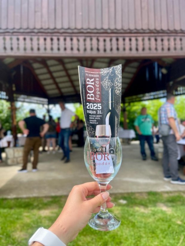 50531-Vin Festival Szikszó - Ungarn, 31.5.2025