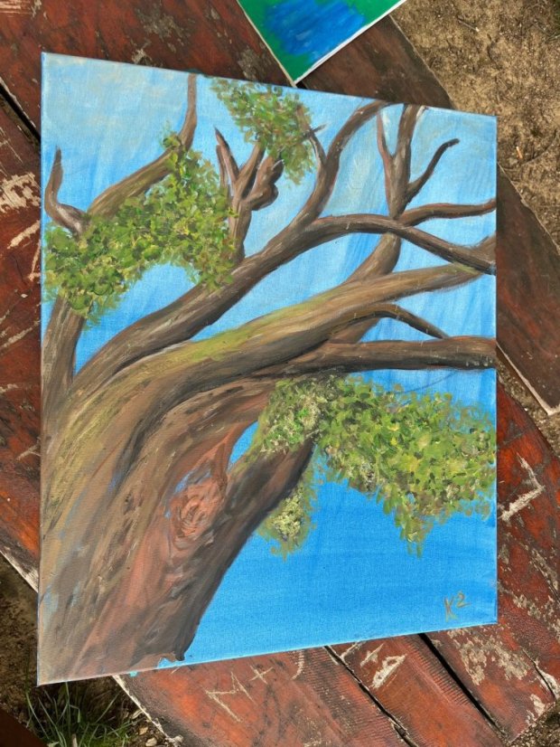 50503-Zážitkové maľovanie Dub v Drnave, 3.5.2025