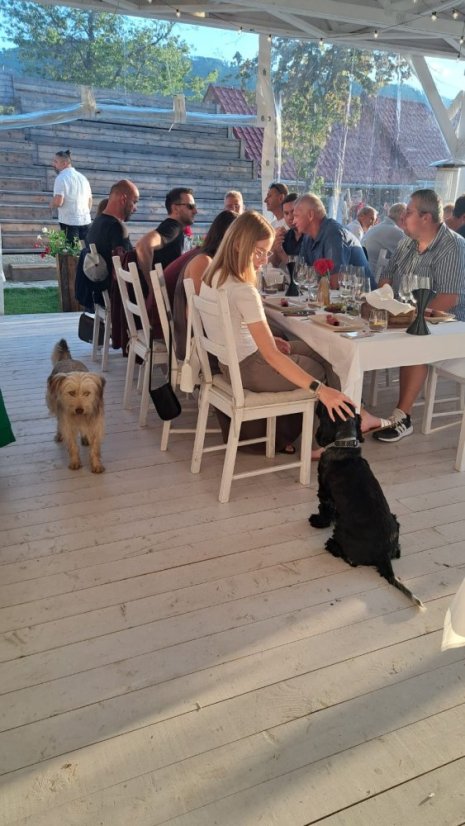 50719-Vernisáž kurzu dospelých s degustáciou vín, 19.7.2025