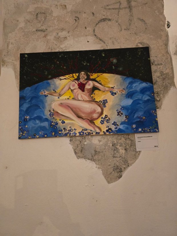 50212-Vernisáž k výberu z výstavy Milujem, teda som!, Praha, 12.2.25