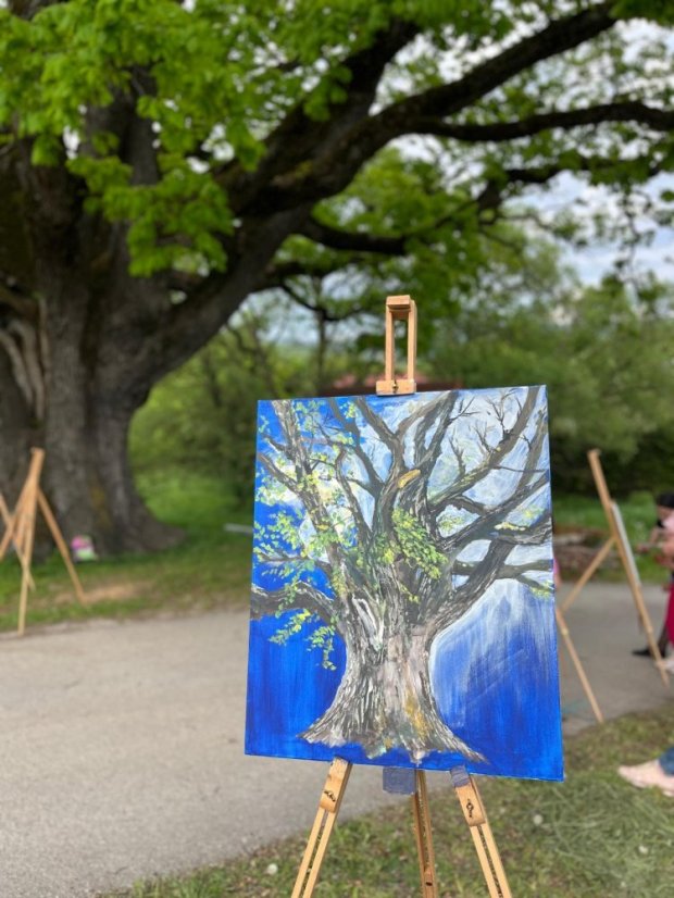 50503-Zážitkové maľovanie Dub v Drnave, 3.5.2025