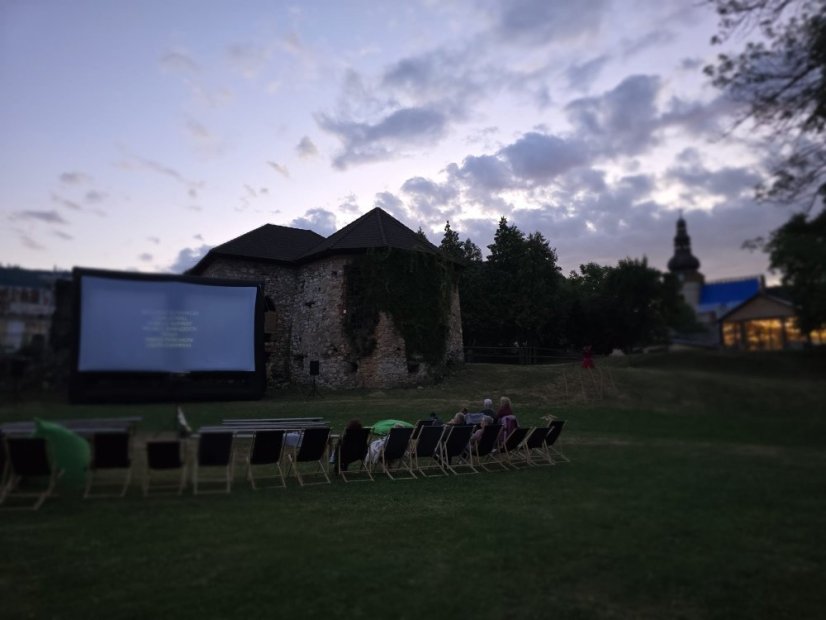 50704-Výtvarno-filmový festival "Osudy umenia", Egon Schiele, Štítnik