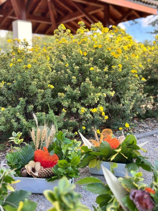 50903-Workshop jesenné aranžovanie, Predná Hora, 3.9.25