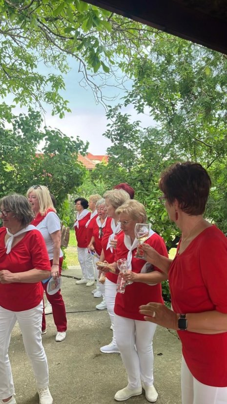 50531-Vin Festival Szikszó - Ungarn, 31.5.2025