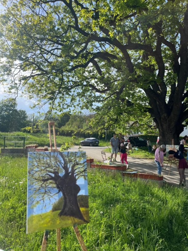 50503-Zážitkové maľovanie Dub v Drnave, 3.5.2025