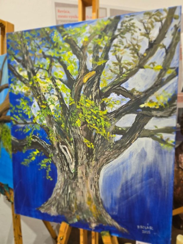 50517-Vernisáž "Pokojný Gemer", Revúca, 17.5.2025